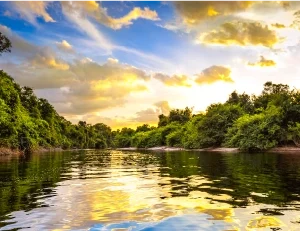 Amazonas